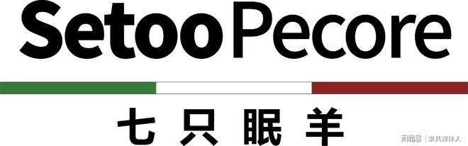 ：独特命名背后的独特竞争力J9国际集团七只眠羊家居(图4)